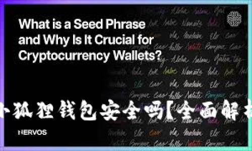 微软浏览器小狐狸钱包安全吗？全面解析及使用建议