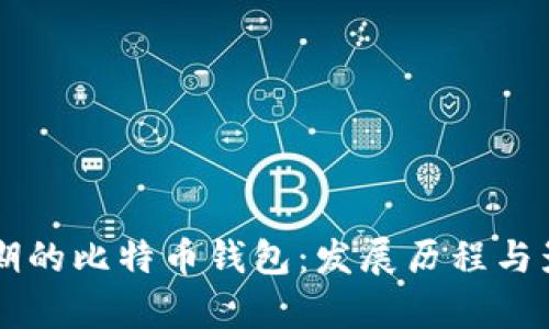 中国早期的比特币钱包：发展历程与影响分析