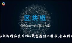 如何选择和使用VDS钱包存