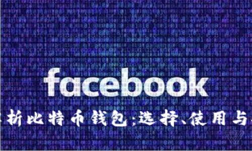 全面解析比特币钱包：选择、使用与安全性