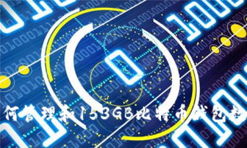 如何管理和153GB比特币钱包数据