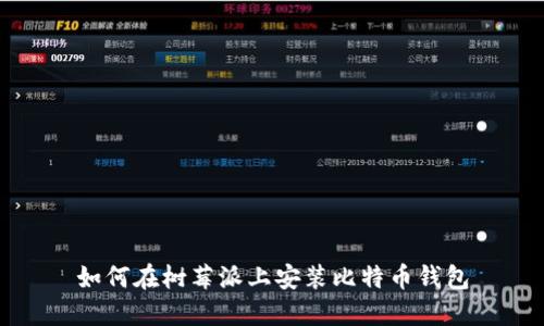 如何在树莓派上安装比特币钱包