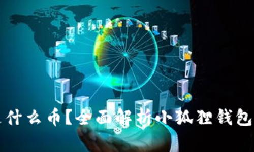 小狐狸钱包是什么币？全面解析小狐狸钱包的功能与应用