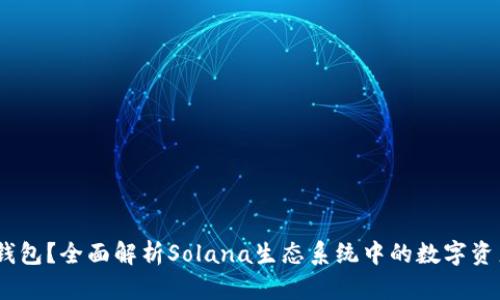 什么是Sol钱包？全面解析Solana生态系统中的数字资产管理工具