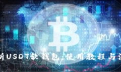 全面解析USDT软钱包：使用