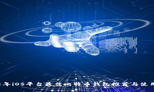 2018年iOS平台最佳比特币钱包推荐与使用指南