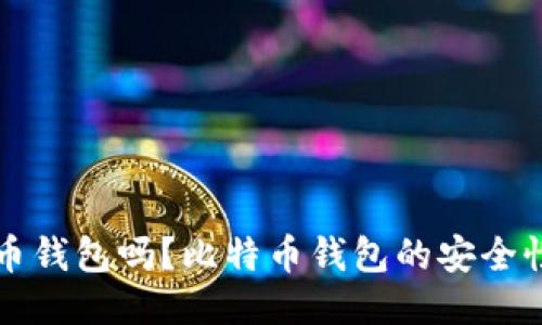 你相信比特币钱包吗？比特币钱包的安全性与使用指南