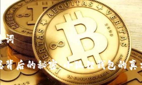 和关键词

中本聪背后的秘密：小狐狸钱包的真相探秘