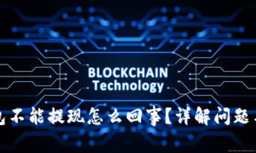 小狐狸钱包不能提现怎么回事？详解问题与解决方案