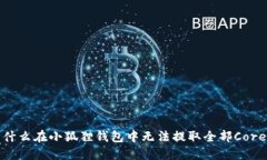  为什么在小狐狸钱包中无