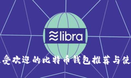 国内最受欢迎的比特币钱包推荐与使用技巧