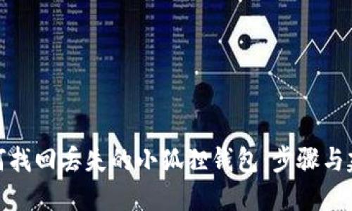 如何找回丢失的小狐狸钱包：步骤与建议