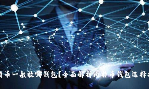 比特币一般放哪钱包？全面解析比特币钱包选择指南