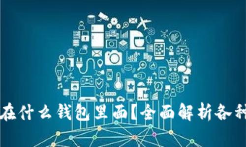 比特币放在什么钱包里面？全面解析各种钱包类型