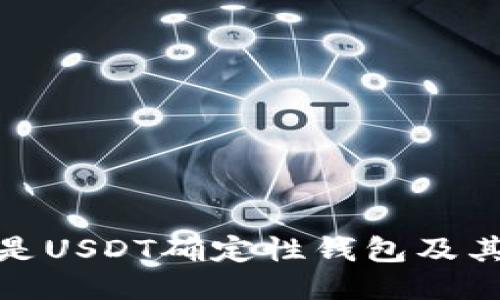 什么是USDT确定性钱包及其优势