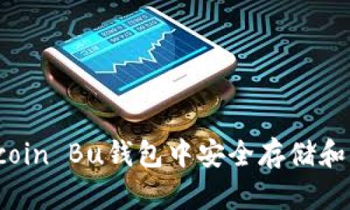 如何在Bitcoin Bu钱包中安全存储和管理比特币