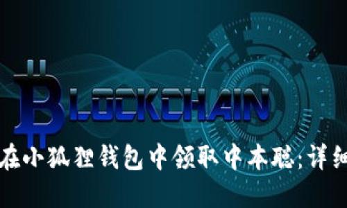 如何在小狐狸钱包中领取中本聪：详细指南