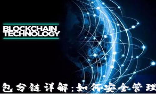 
小狐狸钱包分链详解：如何安全管理数字资产