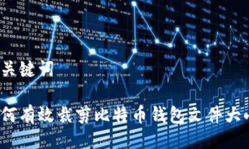 与关键词

如何有效裁剪比特币钱包文件大小？