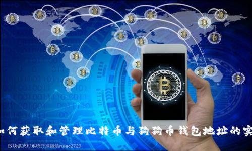 biaso如何获取和管理比特币与狗狗币钱包地址的实用指南