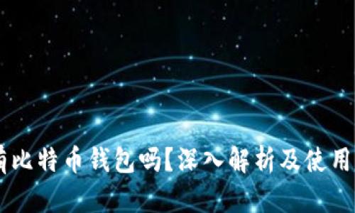 OK有比特币钱包吗？深入解析及使用指南