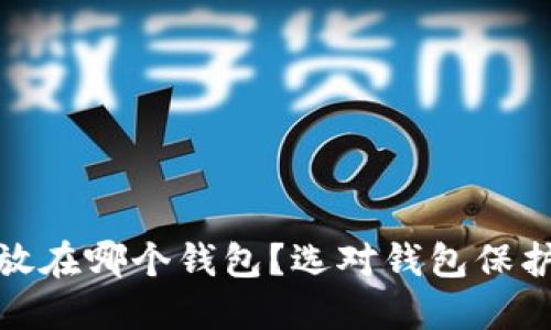 : 比特币可以放在哪个钱包？选对钱包保护你的数字资产