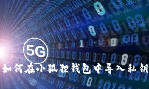 如何在小狐狸钱包中导入私钥