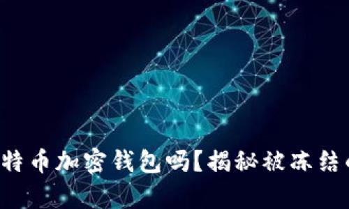 你真的了解比特币加密钱包吗？揭秘被冻结的真相与风险！