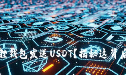 如何轻松使用小狐狸钱包发送USDT？揭秘这背后的简单步骤与技巧