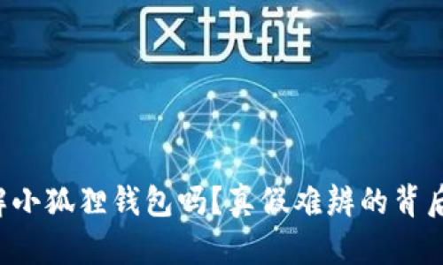 你真的了解小狐狸钱包吗？真假难辨的背后真相揭晓！