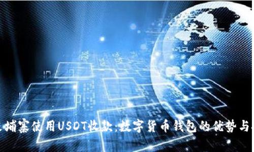 在柬埔寨使用USDT收款：数字货币钱包的优势与挑战