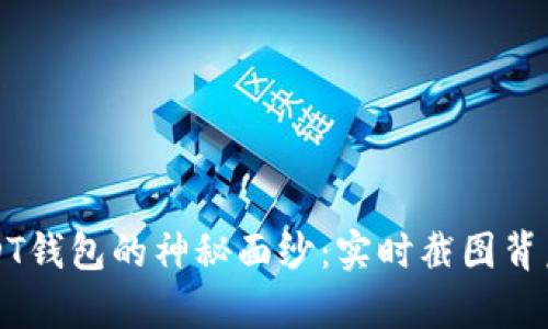 揭开USDT钱包的神秘面纱：实时截图背后的真相