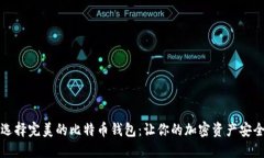 如何选择完美的比特币钱