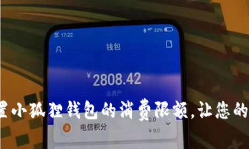 如何轻松设置小狐狸钱包的消费限额，让您的资金更安全？