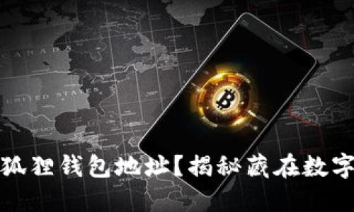 如何轻松找到小狐狸钱包地址？揭秘藏在数字货币背后的秘密