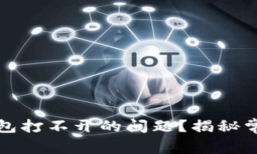 如何解决比特币钱包打不开的问题？揭秘常见故障及解决方案