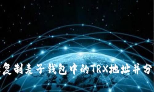 如何轻松复制麦子钱包中的TRX地址并分享给他人