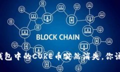 当小狐狸钱包中的CORE币突