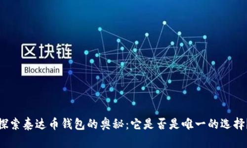 探索泰达币钱包的奥秘：它是否是唯一的选择？