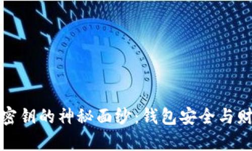 揭开比特币密钥的神秘面纱：钱包安全与财富的守护者