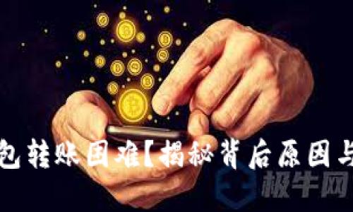 小狐狸钱包转账困难？揭秘背后原因与解决方案