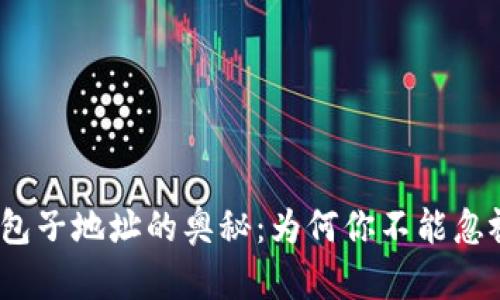 探秘比特币钱包子地址的奥秘：为何你不能忽视它们的作用？