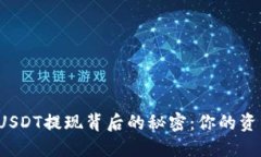 揭秘冷钱包USDT提现背后的