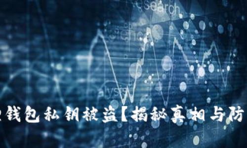 小狐狸钱包私钥被盗？揭秘真相与防范技巧