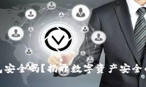 小狐狸钱包安全吗？揭开数字资产安全的神秘面纱