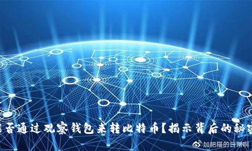 能否通过观察钱包来转比特币？揭示背后的秘密！