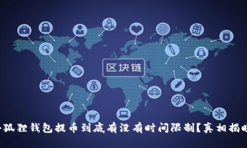 小狐狸钱包提币到底有没有时间限制？真相揭晓！