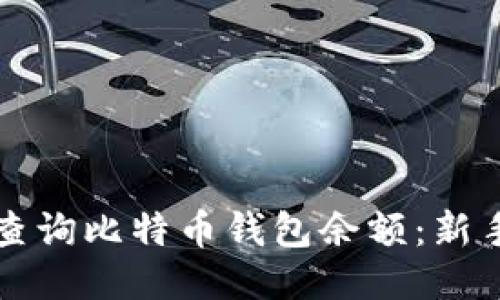 如何轻松查询比特币钱包余额：新手必看指南