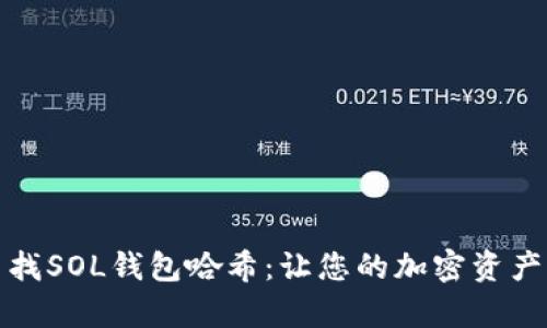 如何有效查找SOL钱包哈希：让您的加密资产管理更轻松