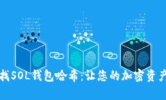 如何有效查找SOL钱包哈希